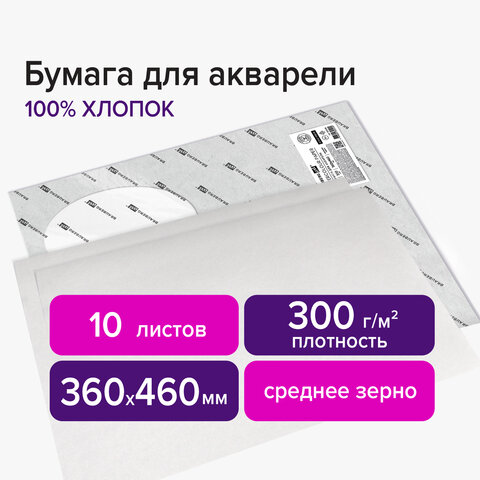 Бумага для акварели ХЛОПОК 100%, 300 г/м2, 360x460 мм, среднее зерно,10 листов, BRAUBERG ART "PREMIERE", 113226